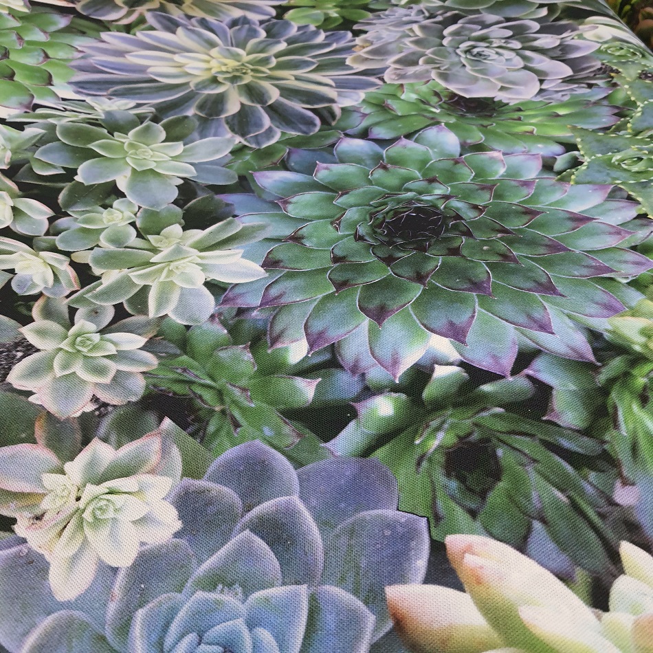 100% Cotton Linen succulents Blue