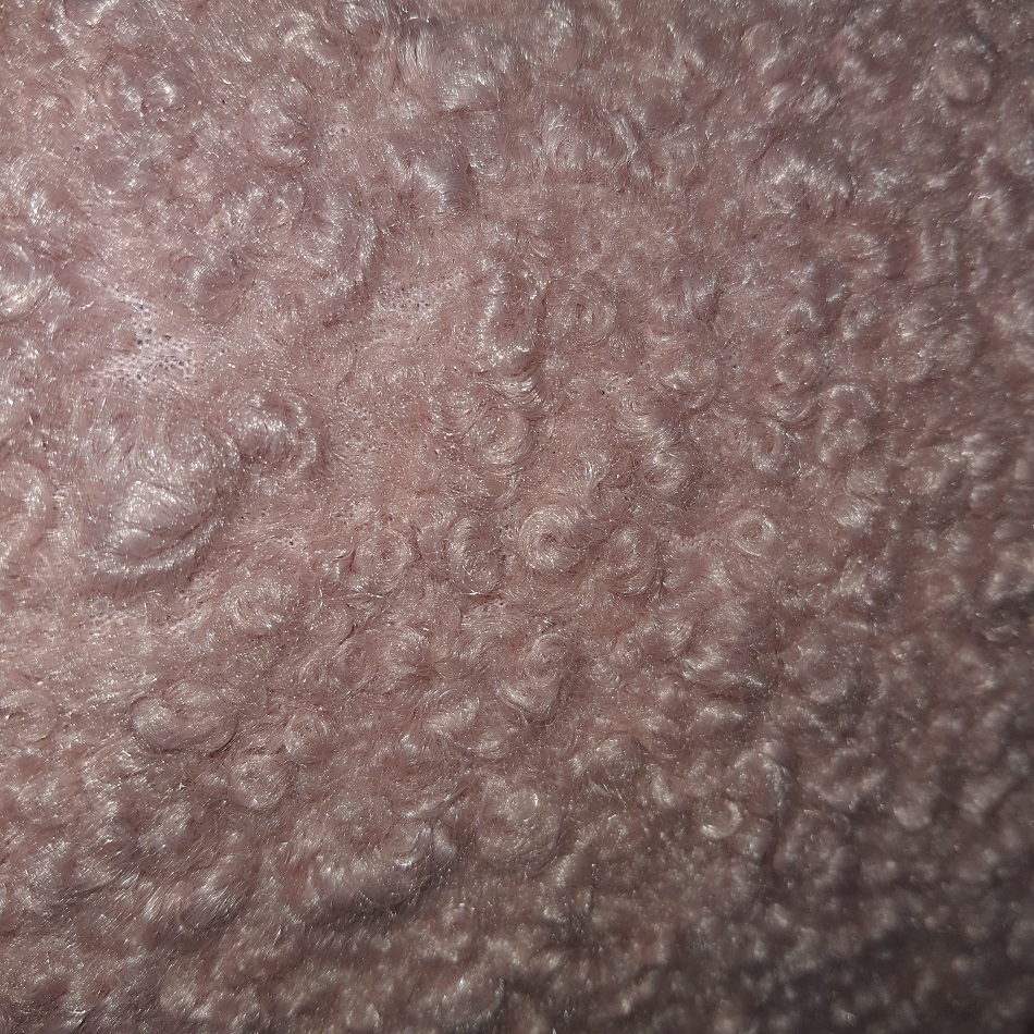 Sherpa Wool Misty Rose