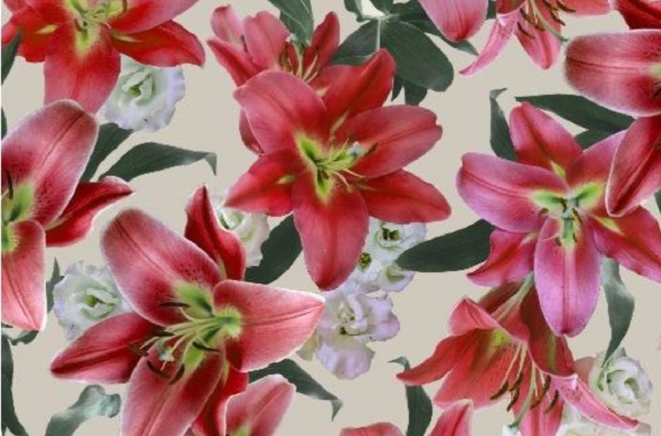 100% Cotton Linen Stargazer Lillie's Linen